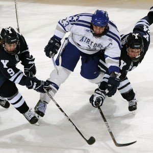 开云体育ios下载-明星加盟：新援如何提升球队实力？，加入明星后援会有工资吗